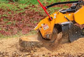 Best Stump Grinding and Removal  in Providence, RI